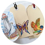 Watercolour Pencil Project with the FDAA pencils